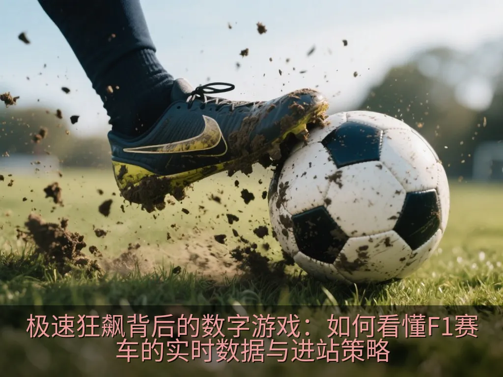 赛车战术策略分析屏幕